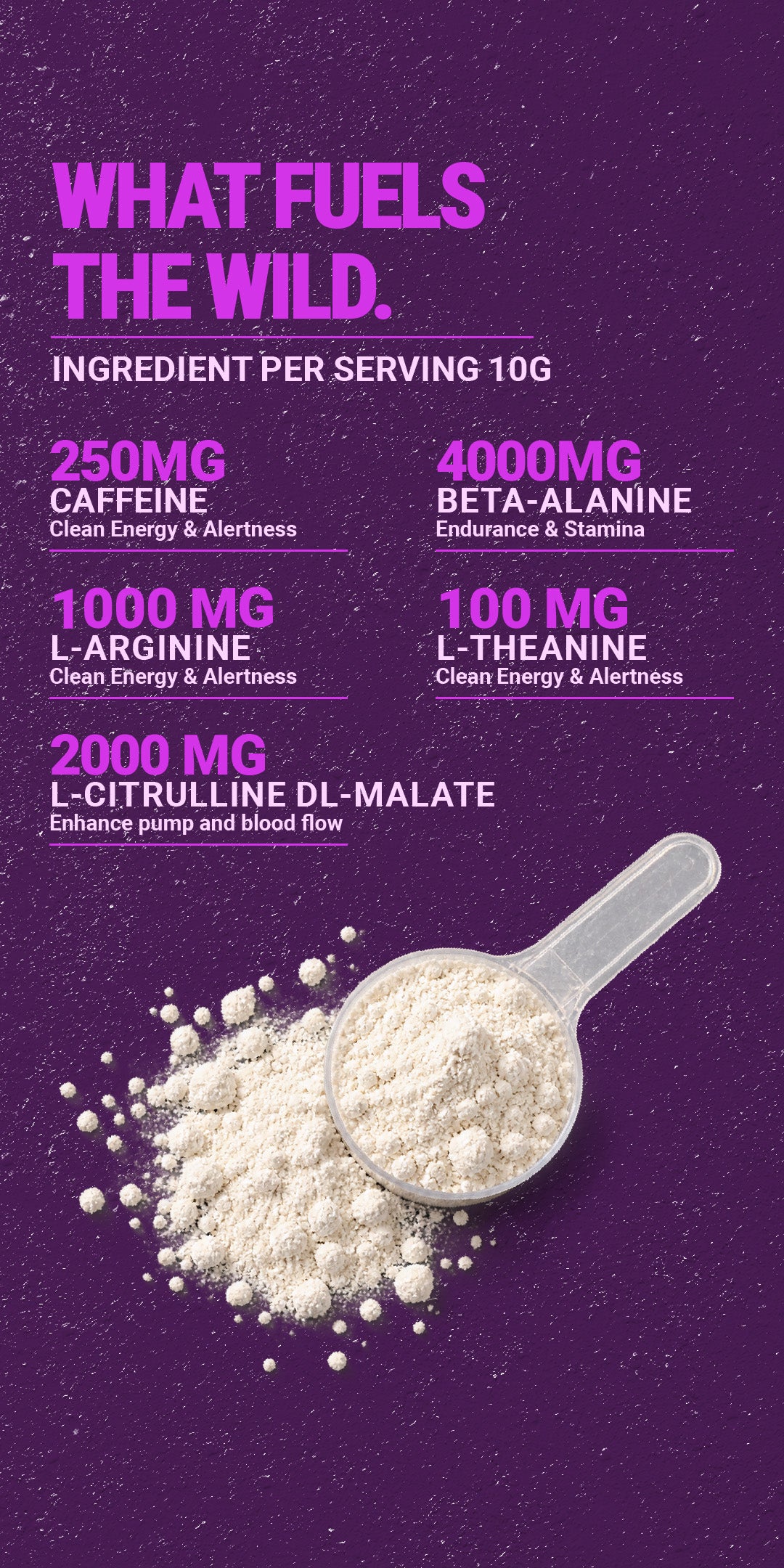 Junglee Pre Workout- Wild Berry