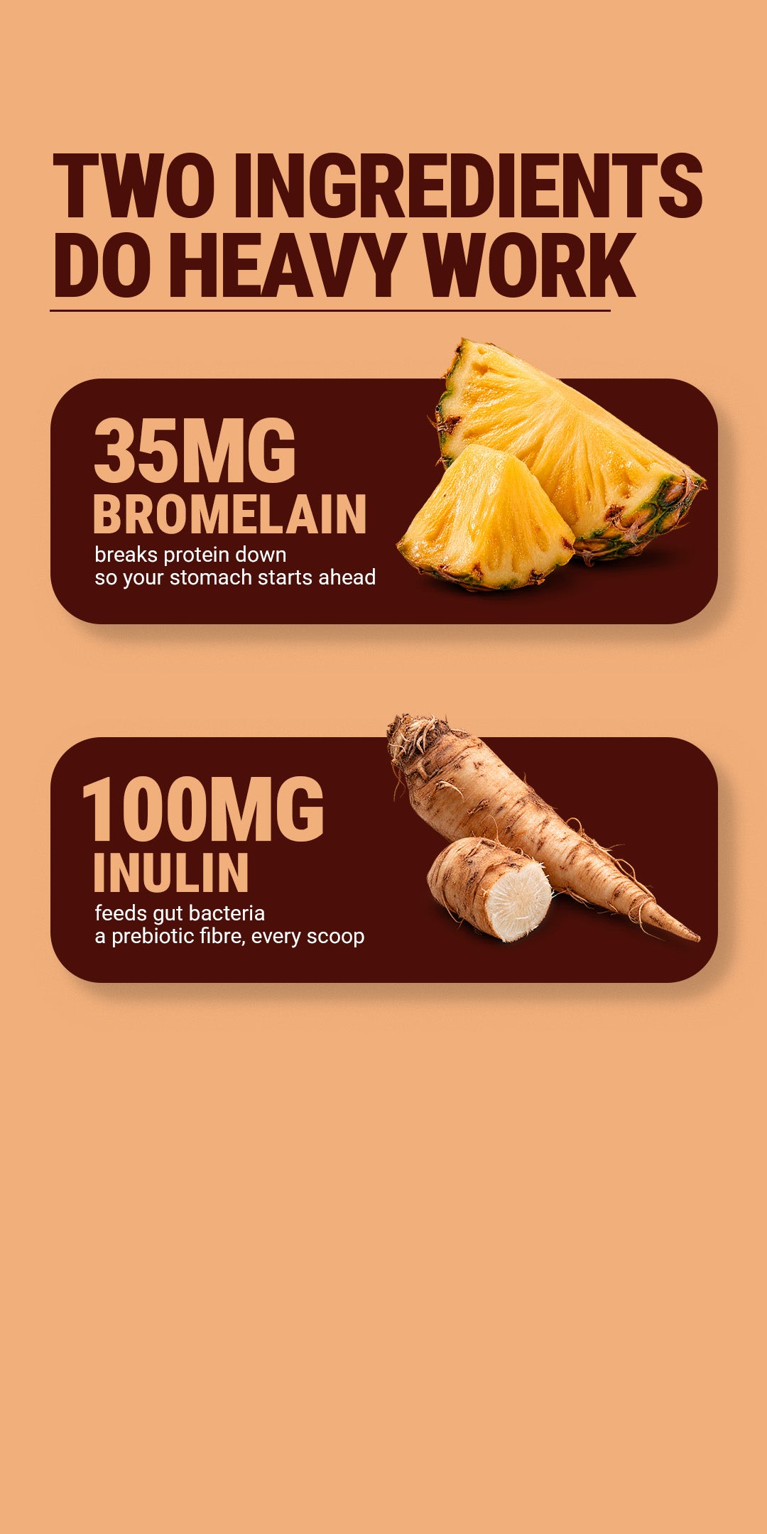 Fermented Yeast Protein Isolate 1Kg - Choco Delight