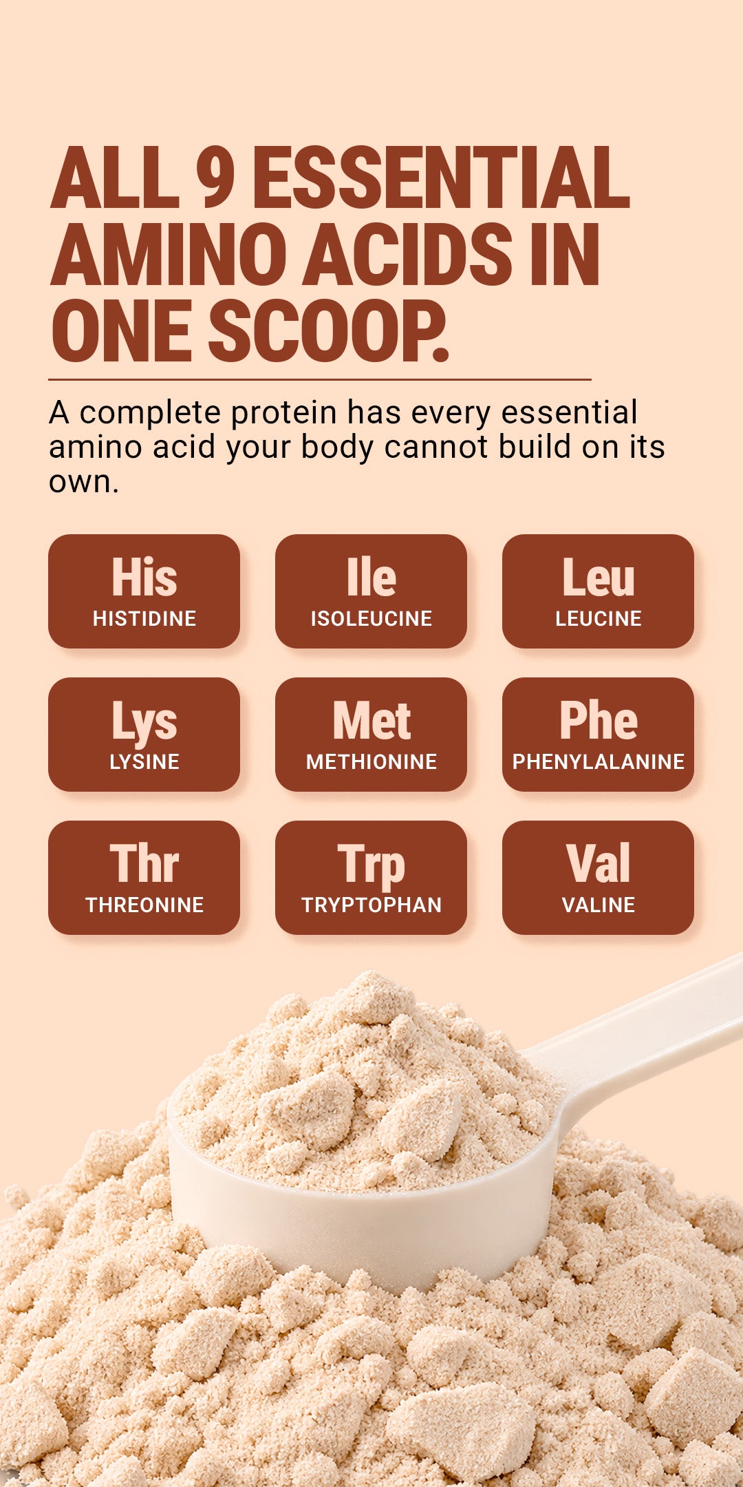 Yeast Protein Isolate 1Kg - Cafe Frappe