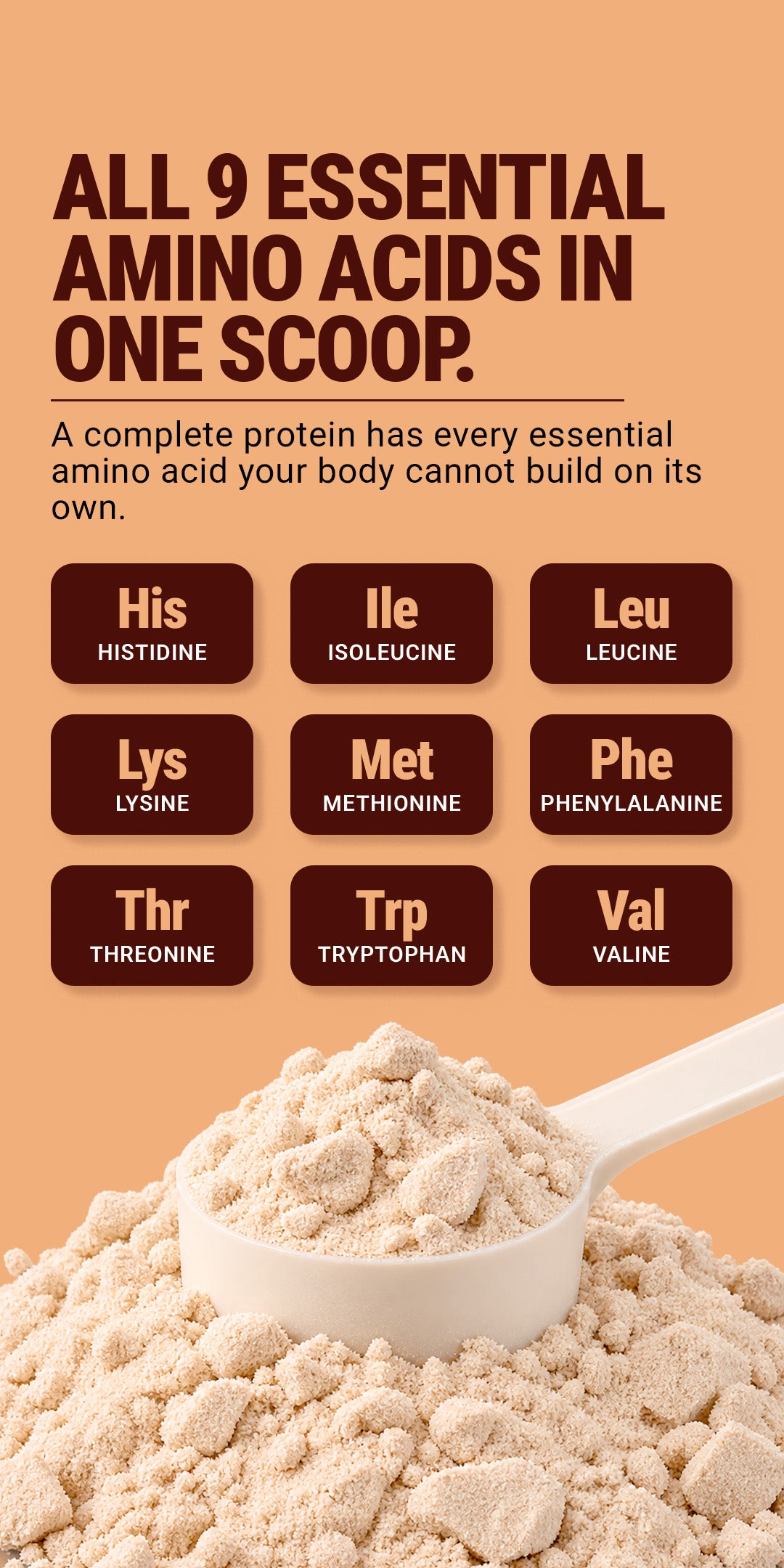 Fermented Yeast Protein Isolate 1Kg - Choco Delight