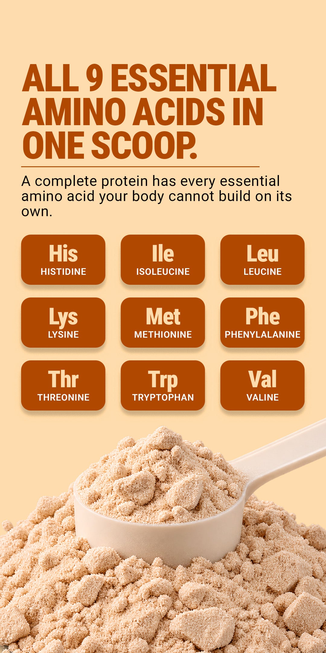 Fermented Yeast Protein Isolate 1Kg - Kesar Kulfi