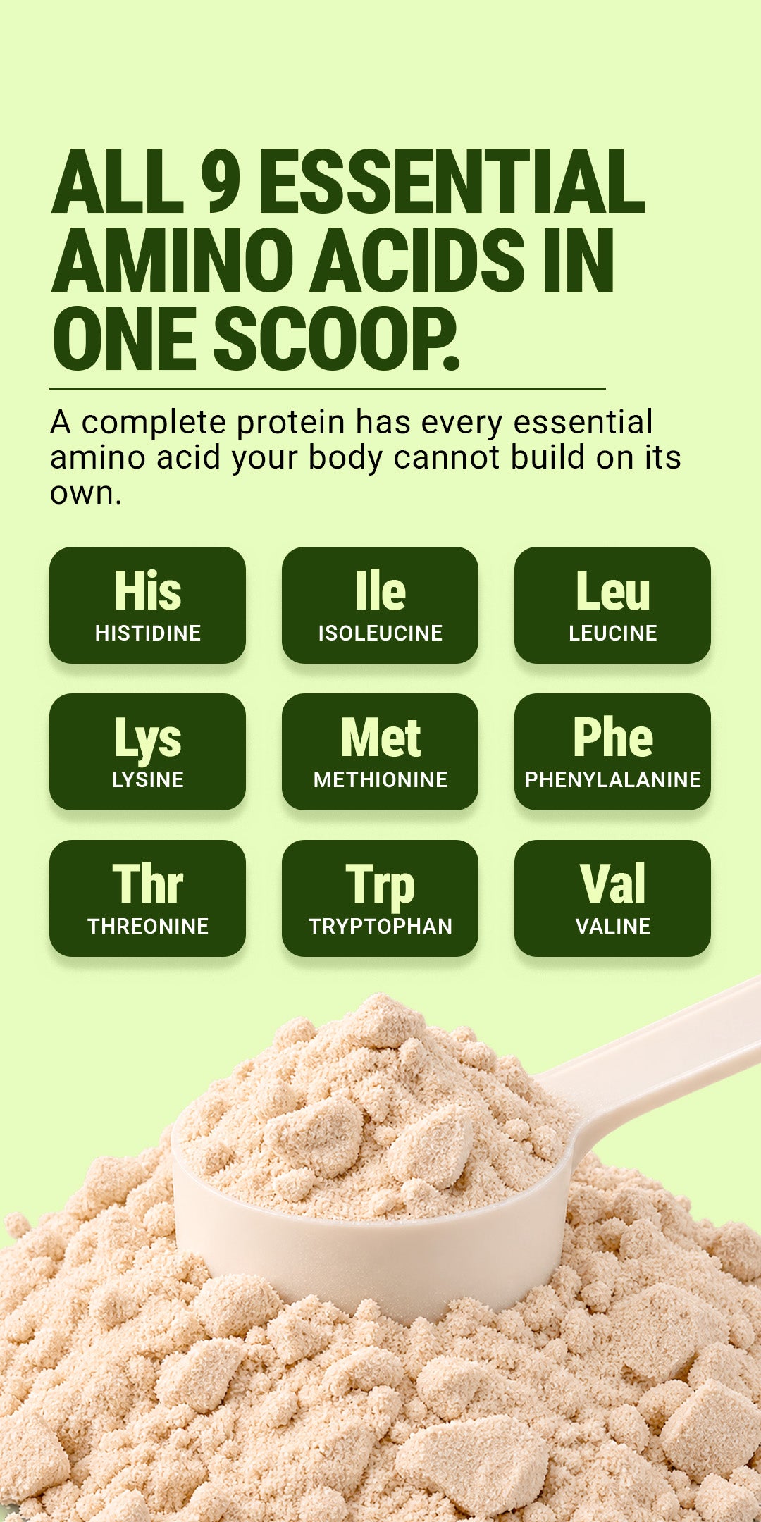 Fermented Yeast Protein Isolate 1Kg - Coconut Ice Cream