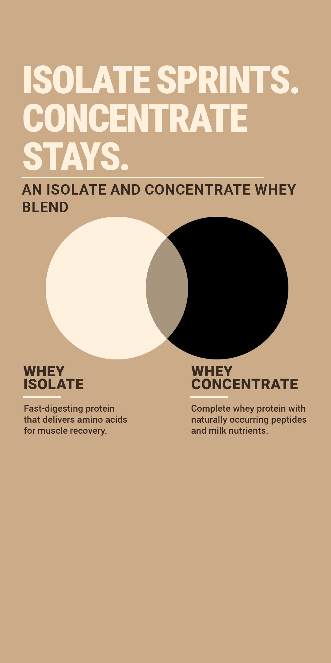 Legender Whey 1kg - Dry Fruit