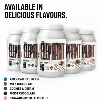 variant:chocolate-milkshake